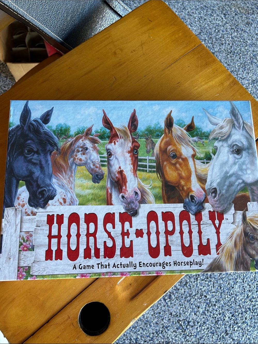 Horse-Opoly Board Game - Horse Illustration Cover - Multi-Color